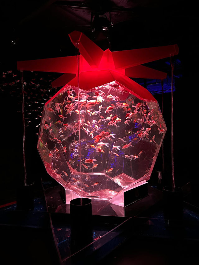銀座三越「金魚藝術展」