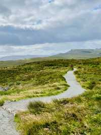 Magical Honeymoon at the Old Man of Storr, Scotland 