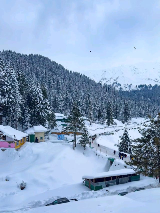 🌿 Hidden Gems of Gulmarg – Beyond the Usual! ❄️🏔️