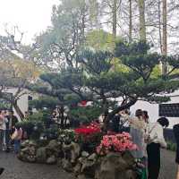 Yue Yuan Garden, Shanghai 