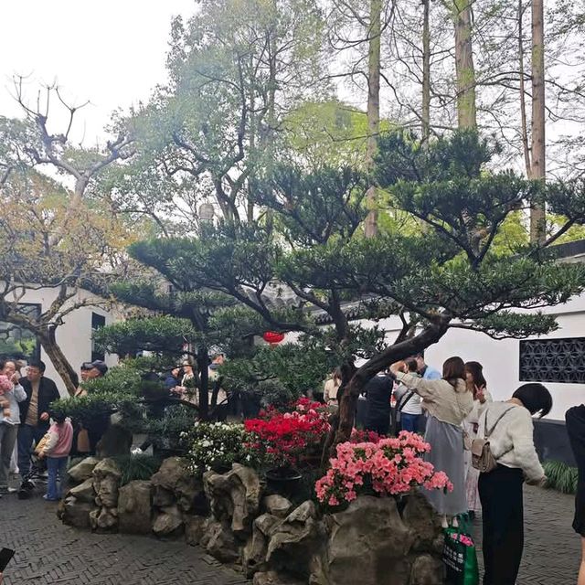 Yue Yuan Garden, Shanghai 