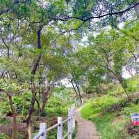 筆架山公園：綠野詩意天堂🌿✍️