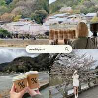 แจกแพลนดูซากุระที่โอซาก้า เกียวโต 🌸🍡🇯🇵