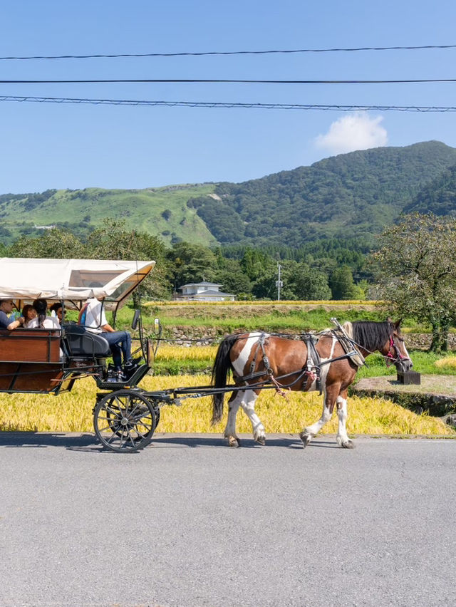 【大分県/由布市】街の中を馬が歩く！？