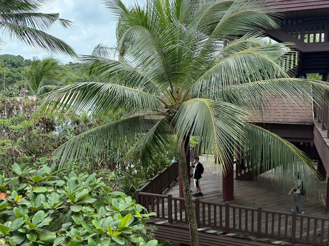 シンガポール🇸🇬で気軽にリゾート気分🏝️