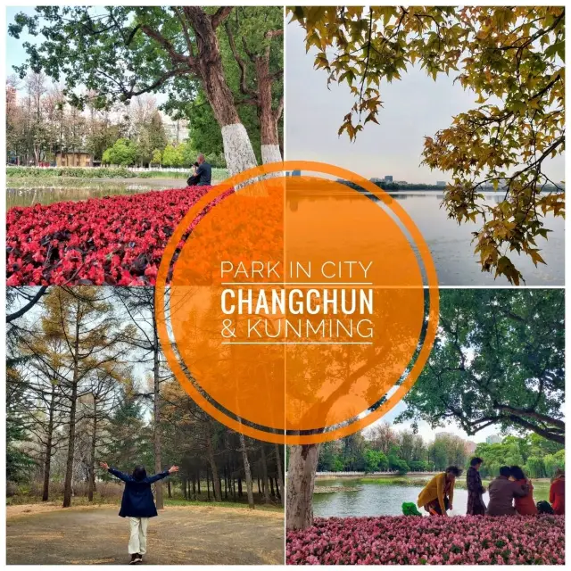 สวนสาธารณะในเมืองใหญ่ (Changchun-Kunming)