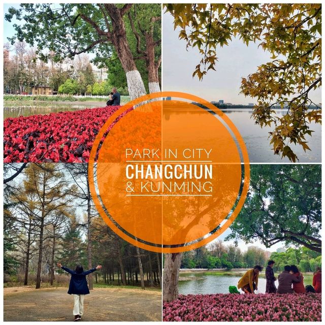 สวนสาธารณะในเมืองใหญ่ (Changchun-Kunming)