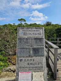 宮古島最大のマングローブで、市指定の天然記念物