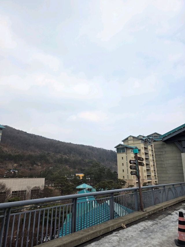 ❄️겨울 야외데이트 추천 스키&썰매장❄️