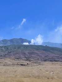 金黃草地的草千里之濱(阿蘇火山)