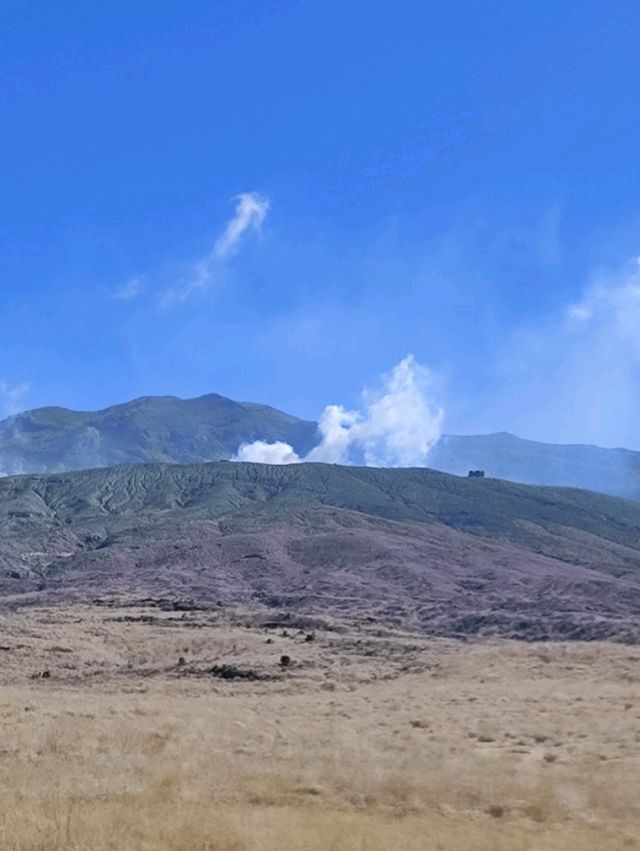 金黃草地的草千里之濱(阿蘇火山)