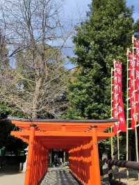 精緻巧妙造景的水前寺成趣園