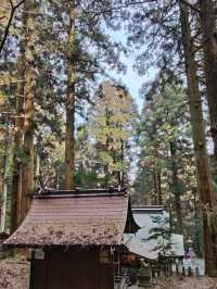 幽靜樹林裡簡樸的上色見熊野座神社