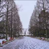 文來公園：冰雪童話世界 ❄️🏞️