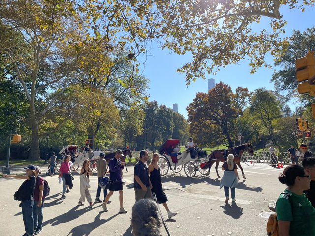 紐約中央公園Central Park——繁忙都市中的世外桃源