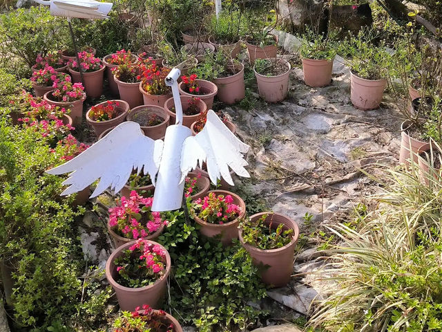 竹子湖✨夢幻花海與清新自然的絕美之地 🌸🏞️