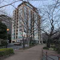 Chidorigafuchi (千鳥ヶ淵)