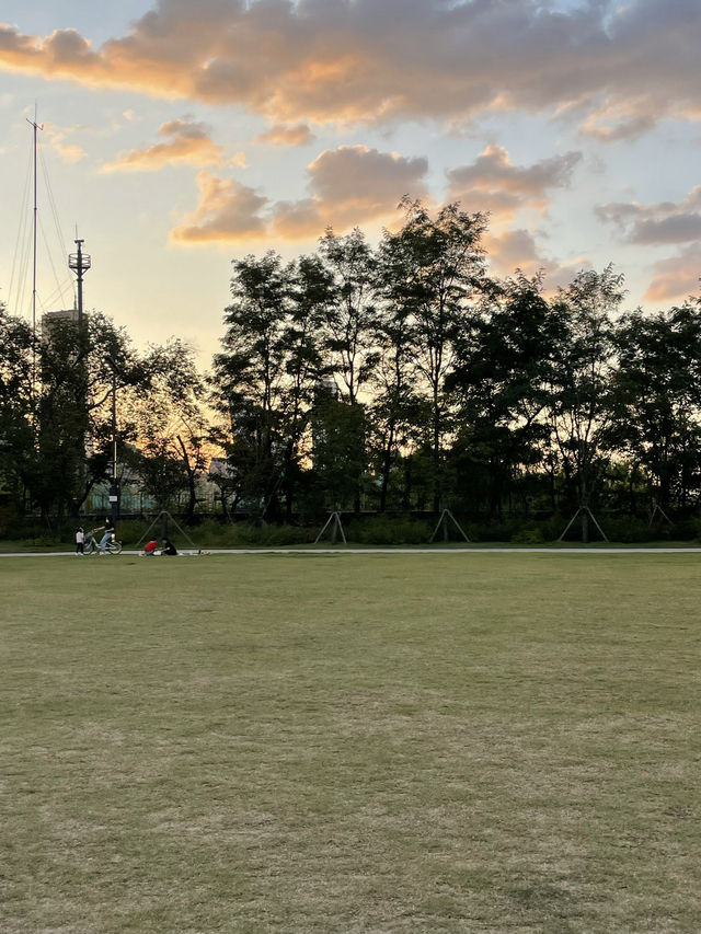 노을이 예쁜 노들섬 🌅❤️