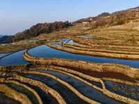 "Yuanyang Rice Terraces: A Masterpiece of Nature and Culture"