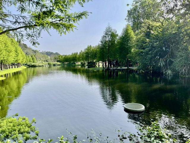 月眉人工濕地生態公園ㄧ日浪漫遊