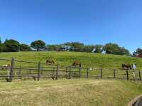 【豊田市🇯🇵 鞍ケ池公園 観光牧場】