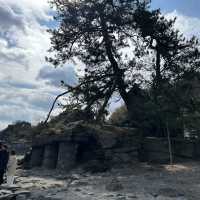 【義経岩】伝説が息づく神秘の岩