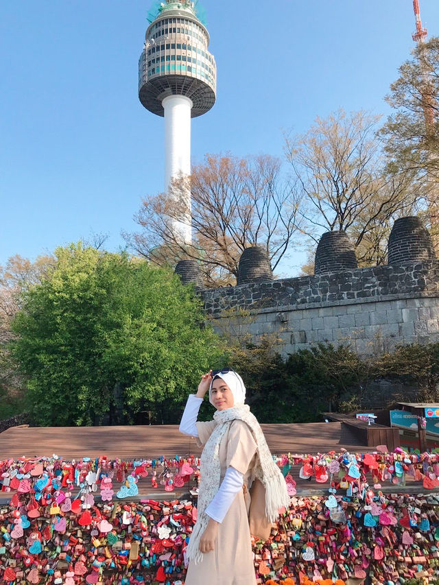 Sunset 🌅 and romantic cherry blossom view from Namsan Tower🗼