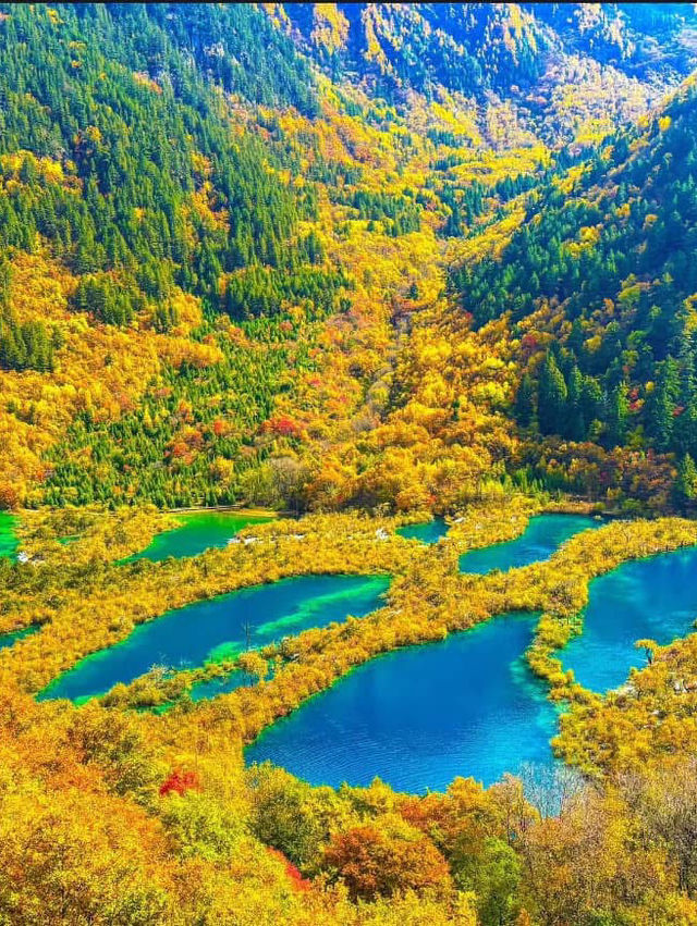 Jiuzhaigou’s Stunning Autumn Scenery