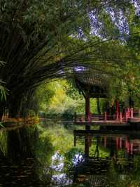 Chill by the Lake in Chengdu