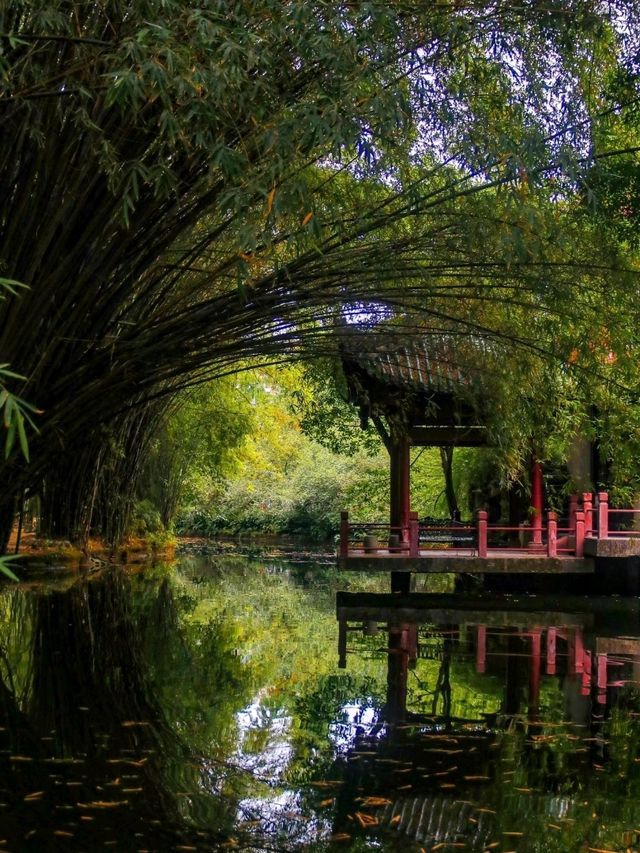 Chill by the Lake in Chengdu
