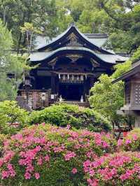 Spring in Kyoto: Visiting Okazaki Shrine🌷