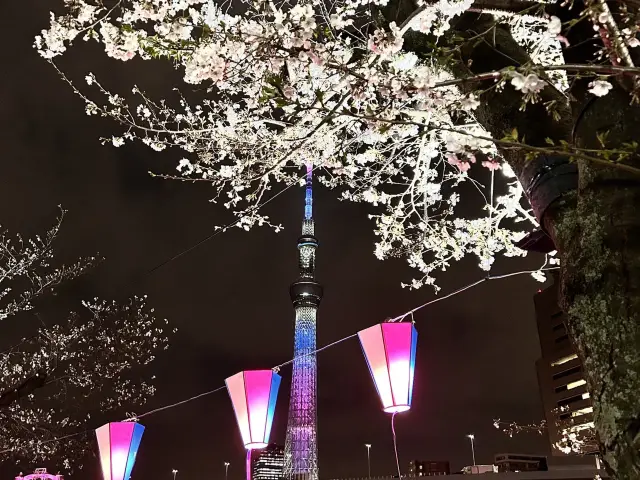 超美富士山🗻六天五夜自駕遊
