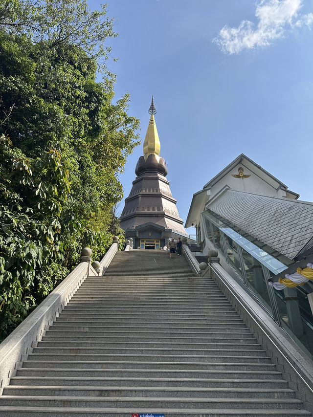 【花と歴史が織りなす美しき仏塔】Twin Pagodasナパメートニドン＆ナパポンプミスリ