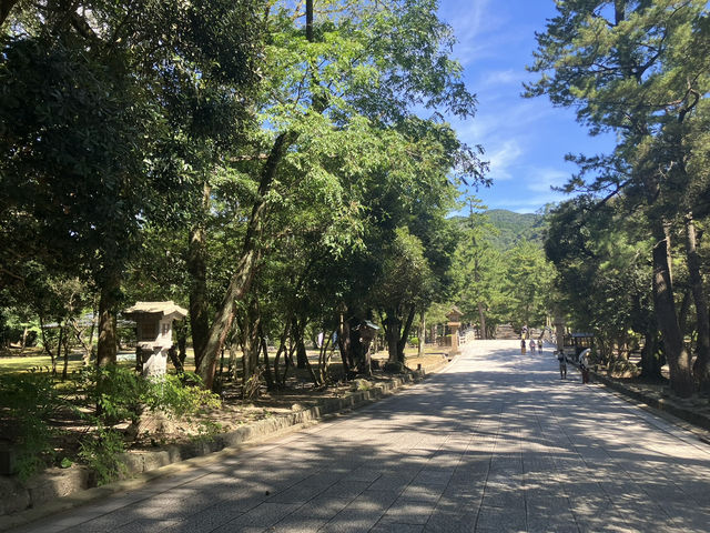 【神々のふるさと】出雲大社 ⛩🌿✨
