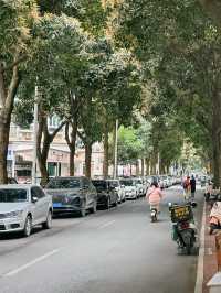 Nanning Uncovered: A Journey into Guangxi's Vibrant Heart