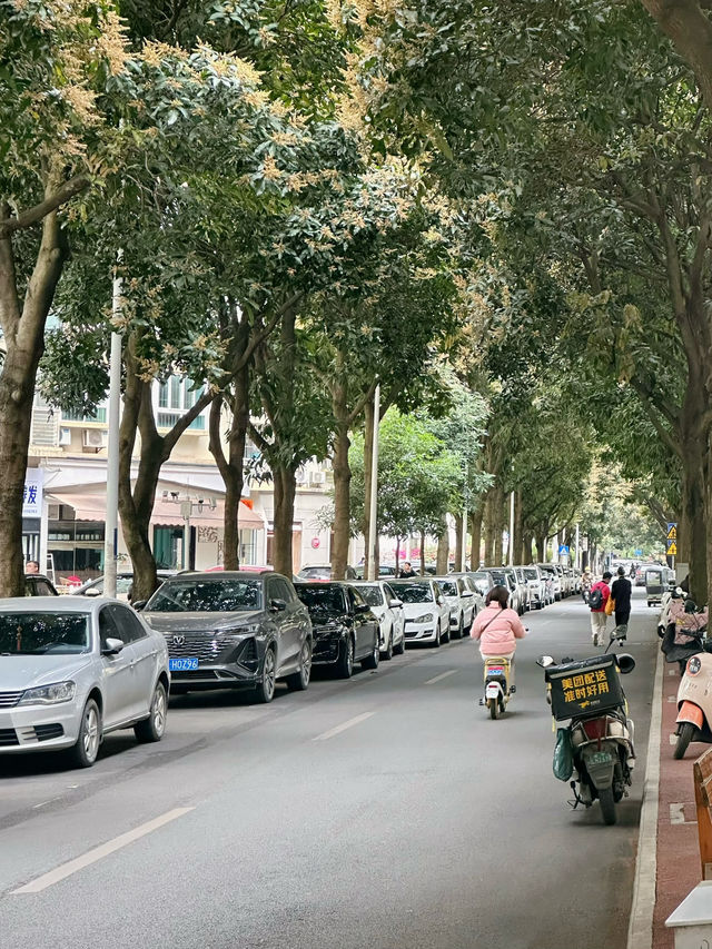 Nanning Uncovered: A Journey into Guangxi's Vibrant Heart