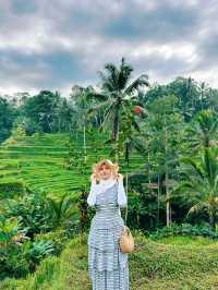 Truth about Tegallagang Rice Terrace 🌾🤫