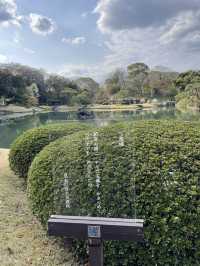 🌸東京/六義園で感じる四季の絶景🌳