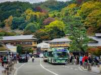 Arashiyama in Early Autumn: A Symphony of Colors and Serenity🎍🍂