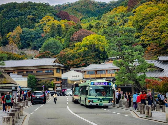 Arashiyama in Early Autumn: A Symphony of Colors and Serenity🎍🍂