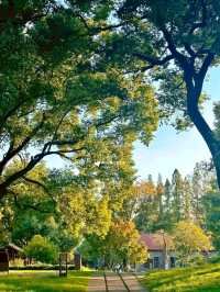 Zicheng Ruins Park: A Blend of History and Serenity