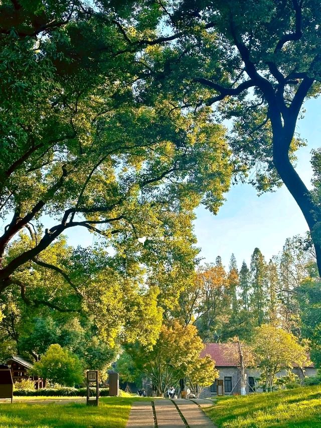 Zicheng Ruins Park: A Blend of History and Serenity