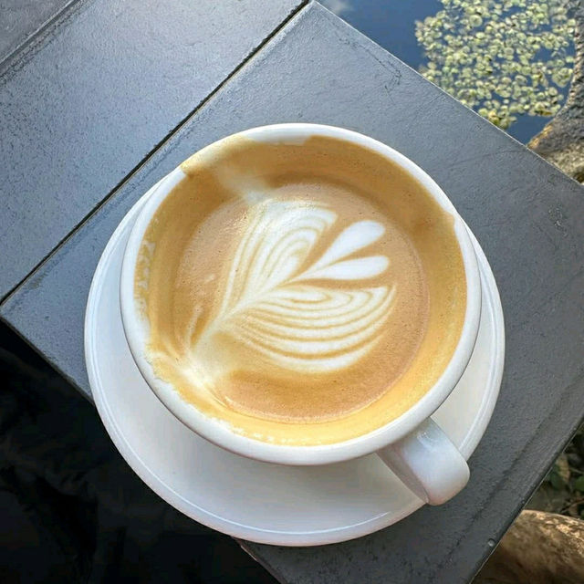 a good options for work and coffee