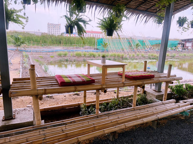 Be More Garden