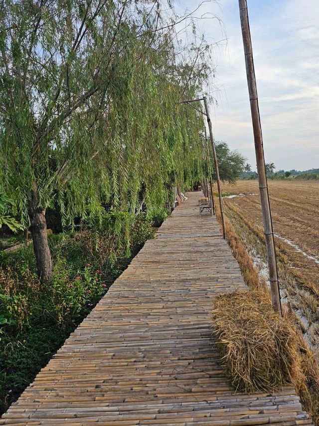 คาเฟ่  ไวแคนตัส นนทบุรี