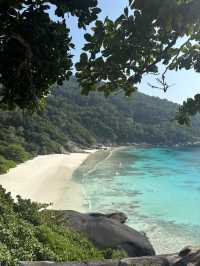最美的小眾小島——斯米蘭8號島🏝️🤍