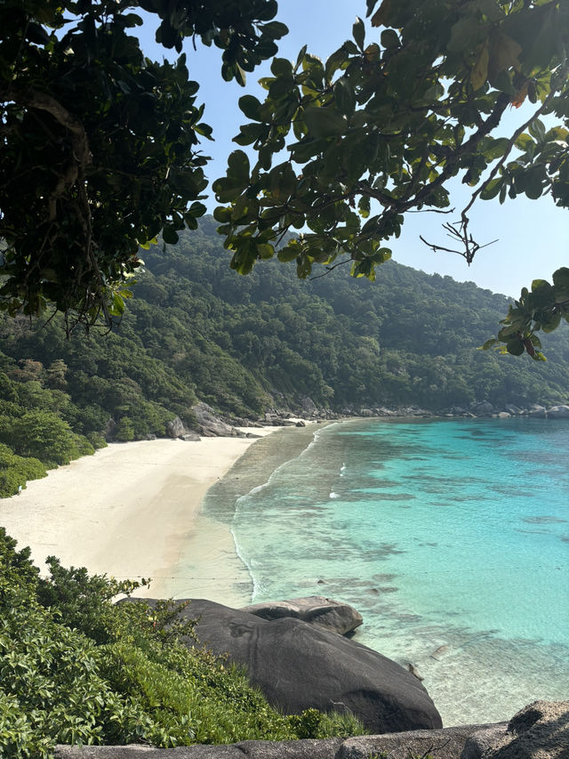 最美的小眾小島——斯米蘭8號島🏝️🤍