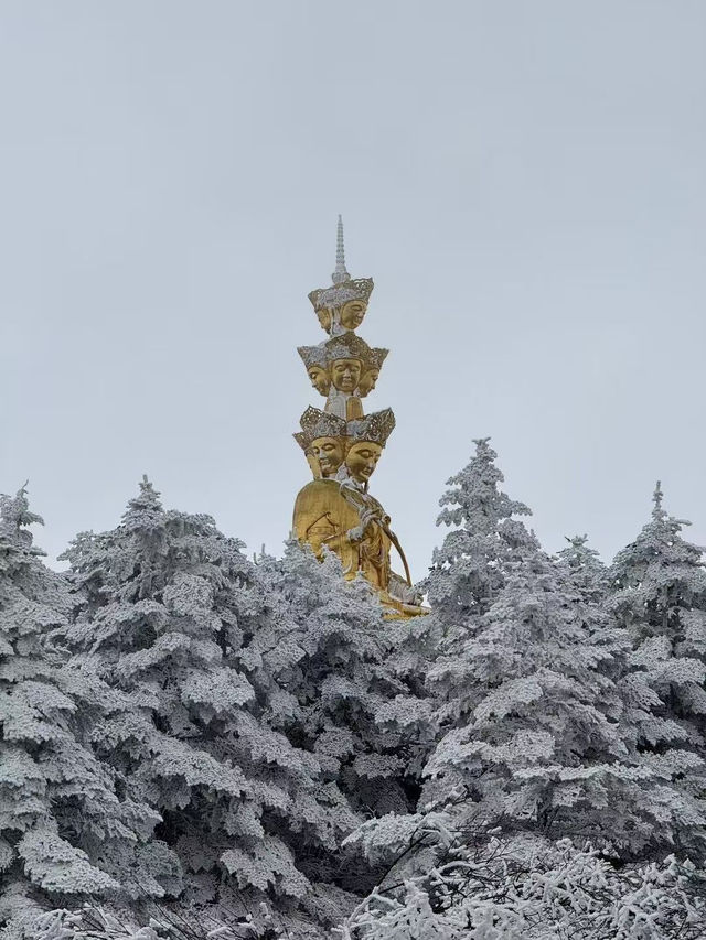 Golden SumThe Ultimate Sky-High Escape 