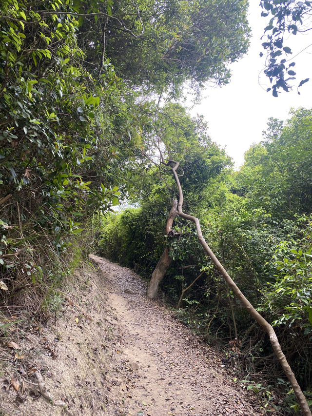 走最輕鬆路線，看最美的海景🌊