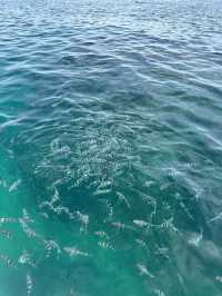 Crystal Waters, Cloudy Service: My Stay at the Intercontinental Fiji